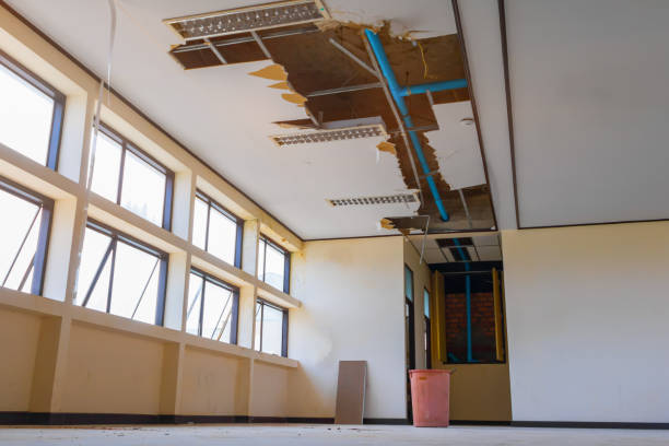 Best 24-hour water damage restoration  in Malvern, OH