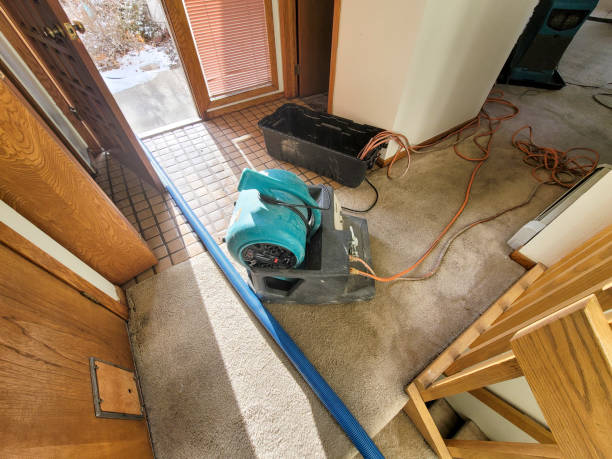 Best Water damage restoration insurance claims  in Malvern, OH