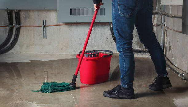 Best Mold removal after water damage  in Malvern, OH