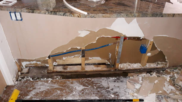 Best Flooded house restoration  in Malvern, OH