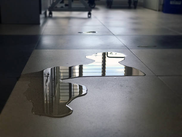 Best Water damage restoration near me  in Malvern, OH