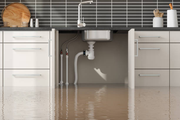Best Flood damage cleanup  in Malvern, OH